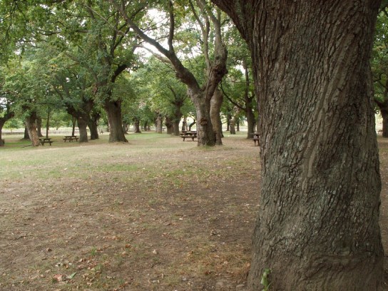 Áreas Recreativas de Cantabria y alrededores: A. R. San Martín de Toranzo