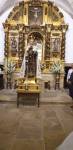 virgen plataforma